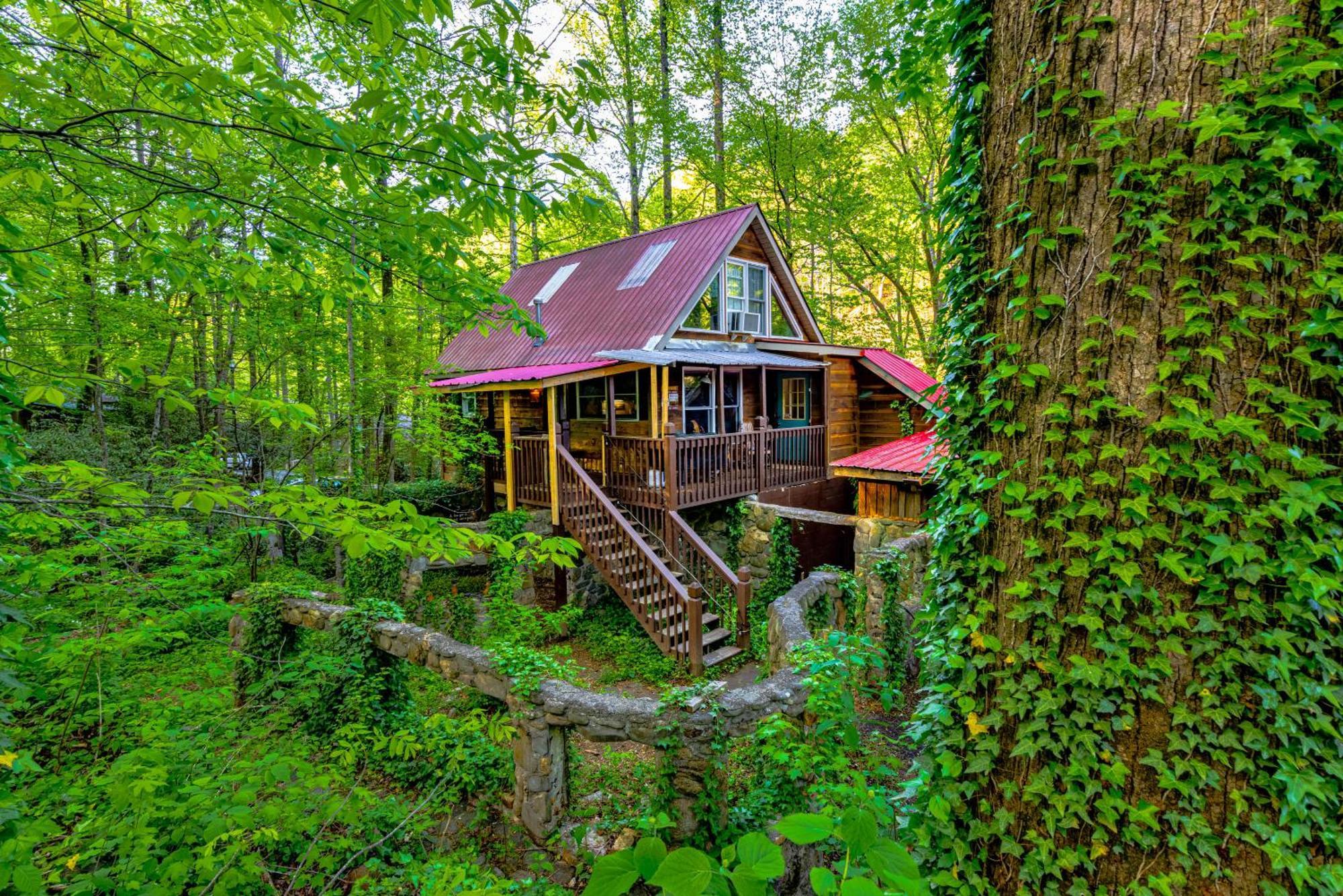 Bear Creek Lodge And Cabins In Helen Ga - Pet Friendly, River On Property, Walking Distance To Downtown Helen Exterior foto